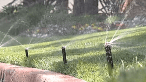lawn water sprinklers - True Lawn Care